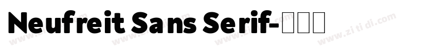 Neufreit Sans Serif字体转换
